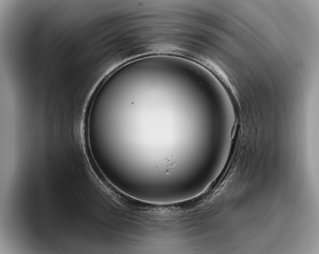 X0000096190947200801181318