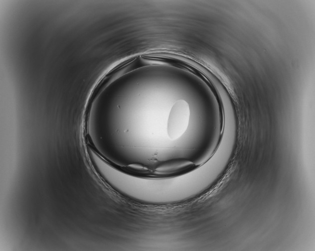 X0000096190948200801181318