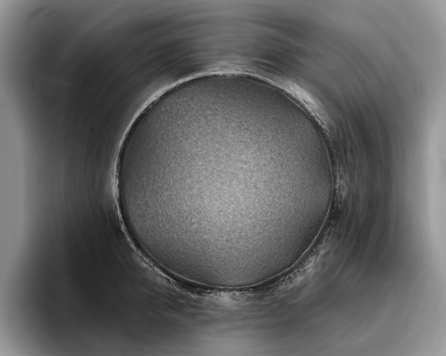 X0000096190950200801181318