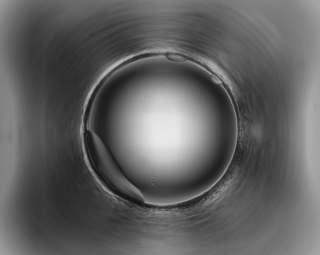 X0000096190951200801181318