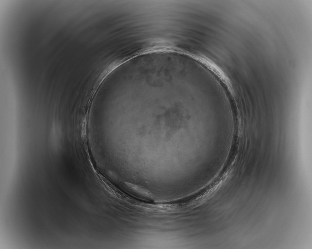 X0000096190953200801181318