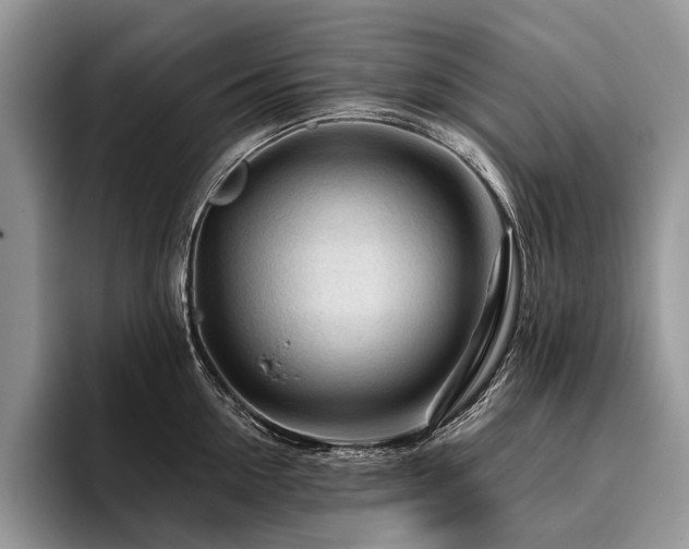 X0000096190954200801181318