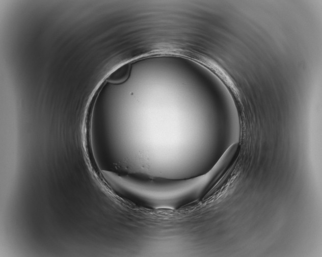 X0000096190955200801181318