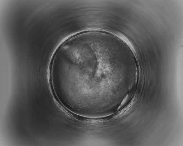 X0000096190958200801181318