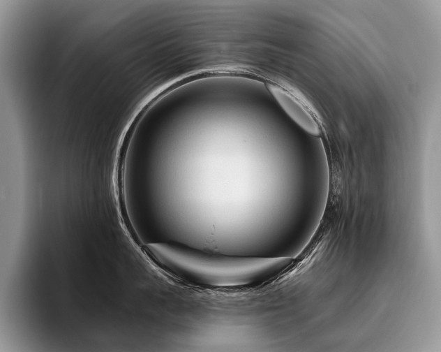 X0000096190959200801181318