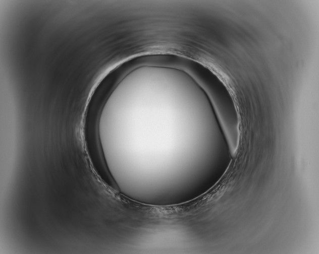 X0000096190960200801181318