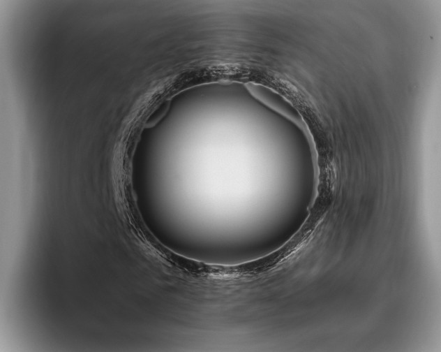 X0000096190961200801181318