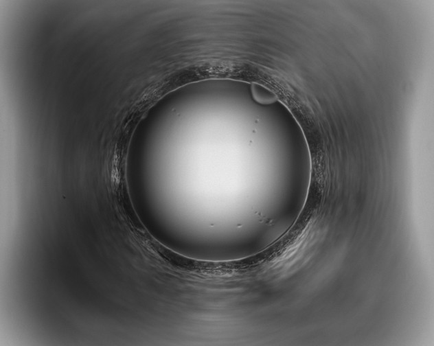 X0000096190962200801181318