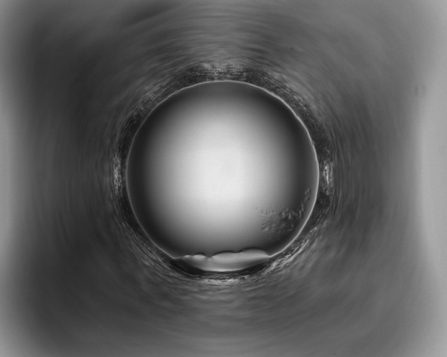 X0000096190963200801181318