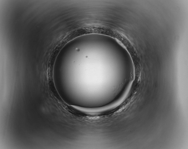 X0000096190965200801181318