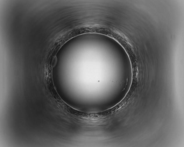 X0000096190966200801181318