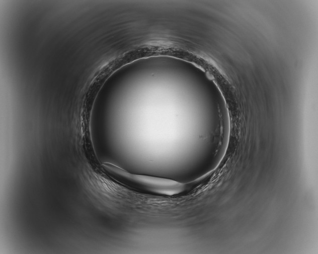 X0000096190967200801181318