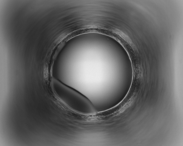 X0000096190969200801181317