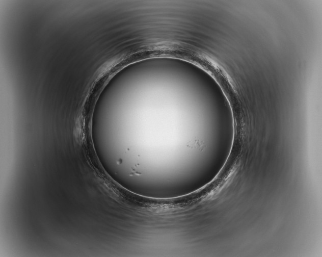 X0000096190970200801181317