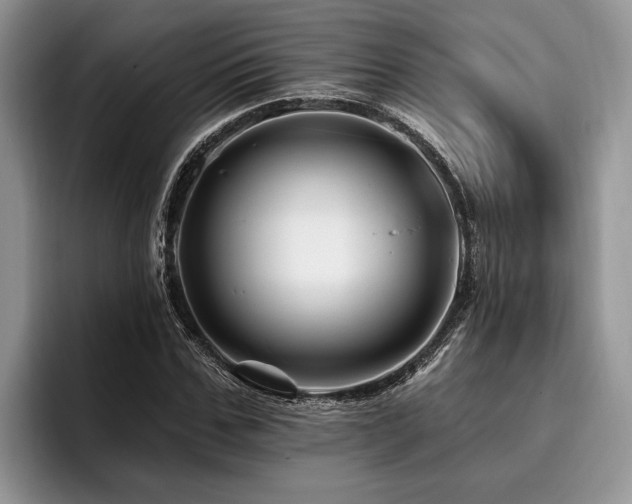 X0000096190971200801181317