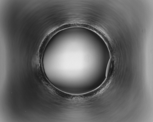 X0000096190974200801181317