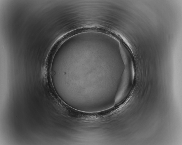 X0000096190975200801181317