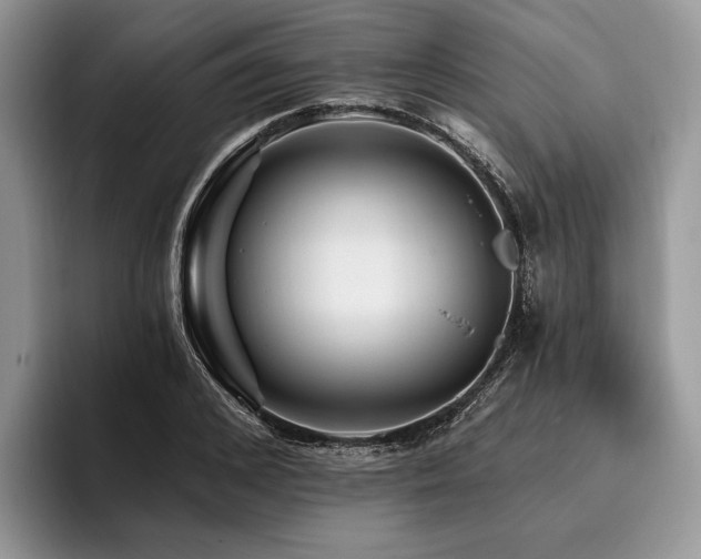 X0000096190976200801181317