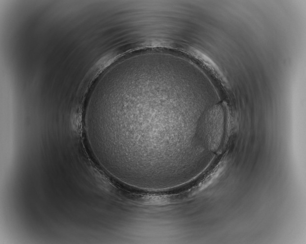 X0000096190977200801181317