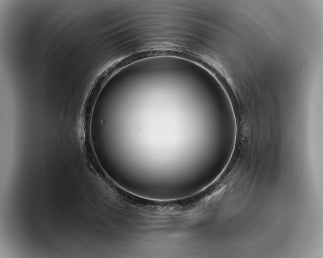 X0000096190979200801181317