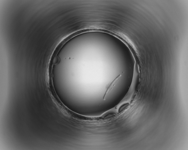 X0000096190980200801181317