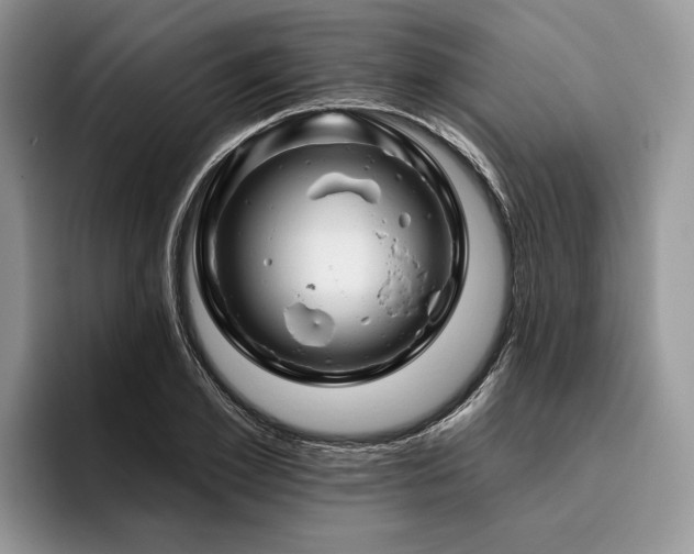 X0000096190981200801181317