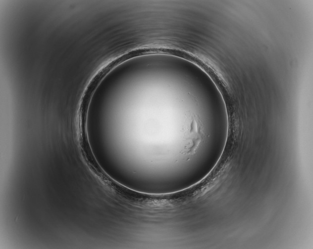 X0000096190982200801181317