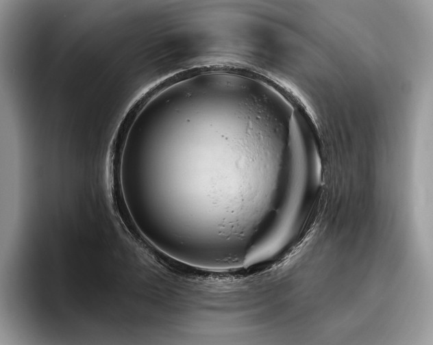 X0000096190983200801181317
