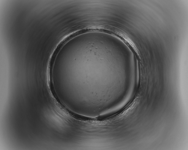 X0000096190984200801181317