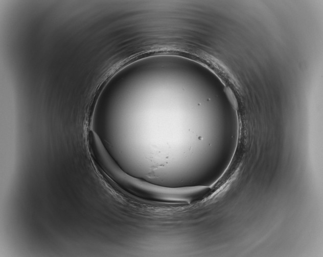 X0000096190985200801181317