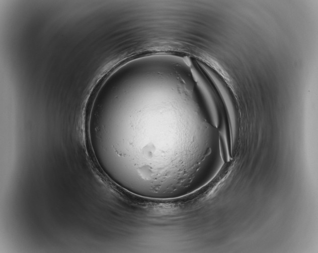 X0000096190986200801181317