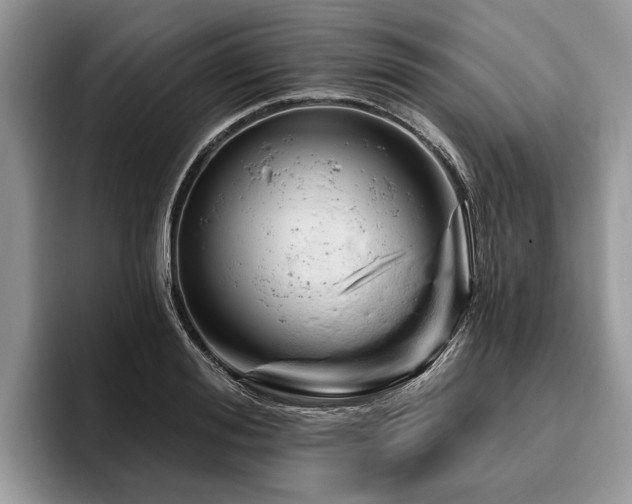 X0000096190988200801181317