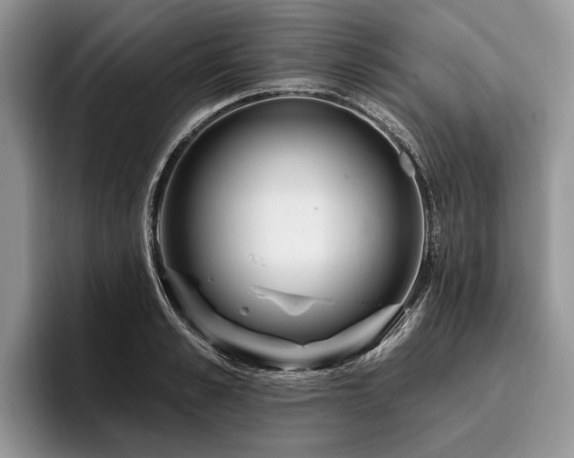 X0000096190989200801181317