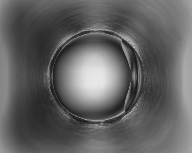 X0000096190990200801181317