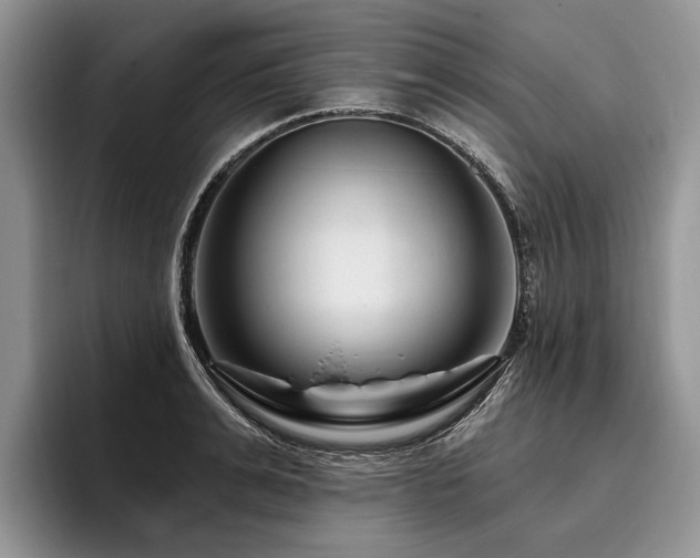 X0000096190991200801181317