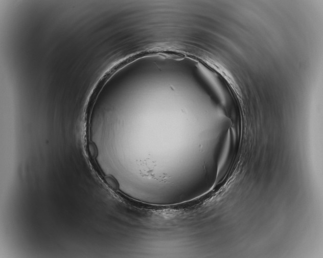 X0000096190992200801181317