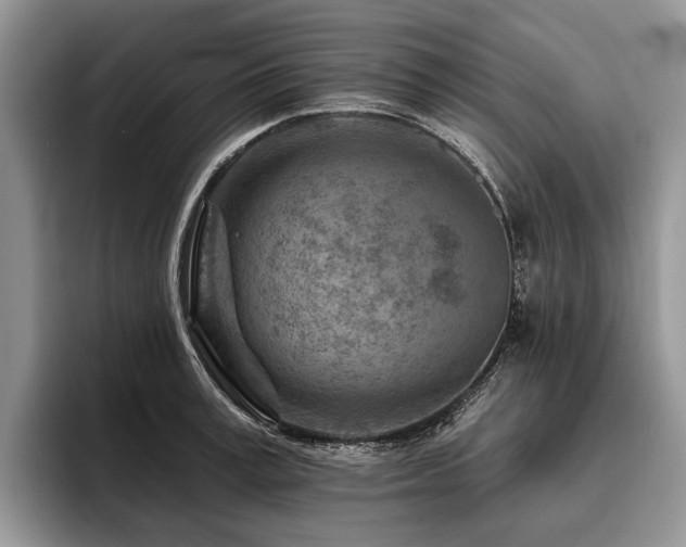 X0000096190995200801181317