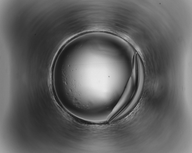 X0000096190996200801181317