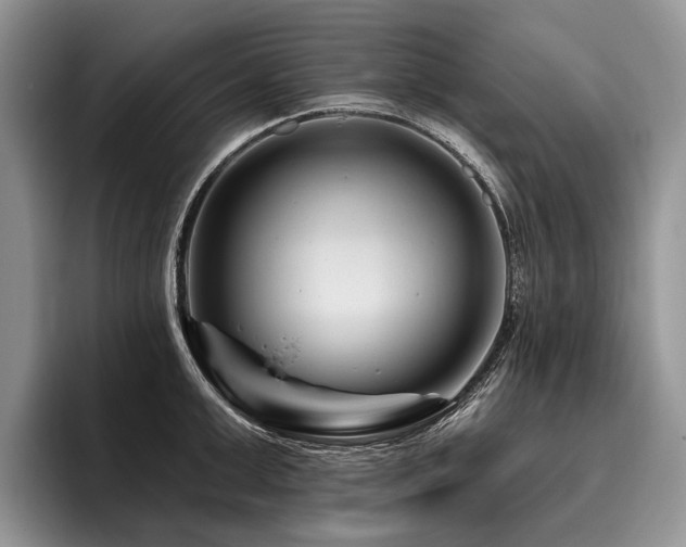 X0000096190999200801181317
