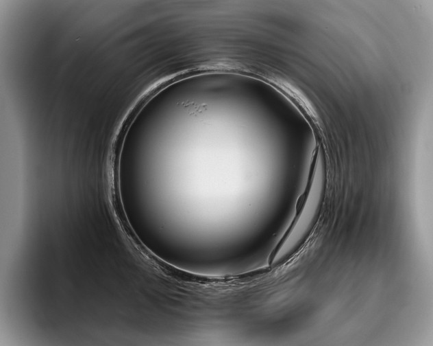 X0000096191000200801181317