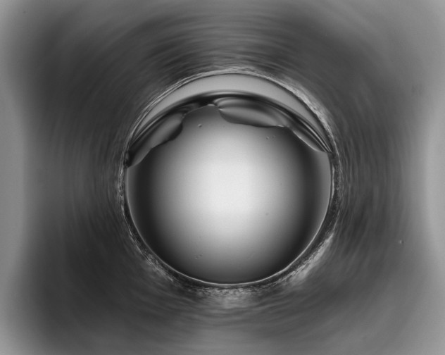 X0000096191001200801181317