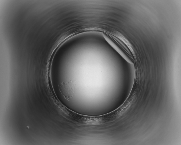X0000096191002200801181317