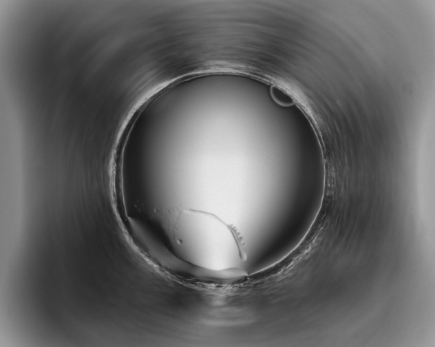 X0000096191003200801181317