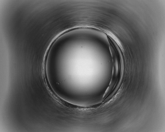 X0000096191004200801181317