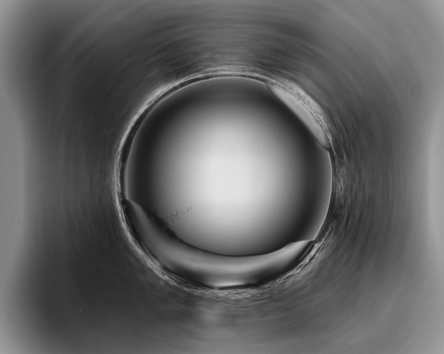 X0000096191005200801181317