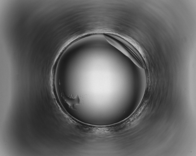 X0000096191006200801181317