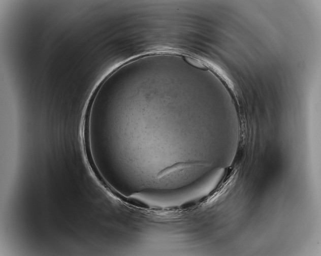 X0000096191007200801181317
