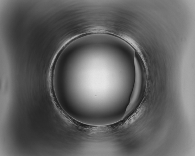 X0000096191008200801181317