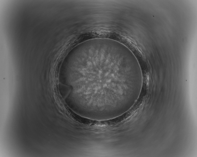 X0000096191009200801181316