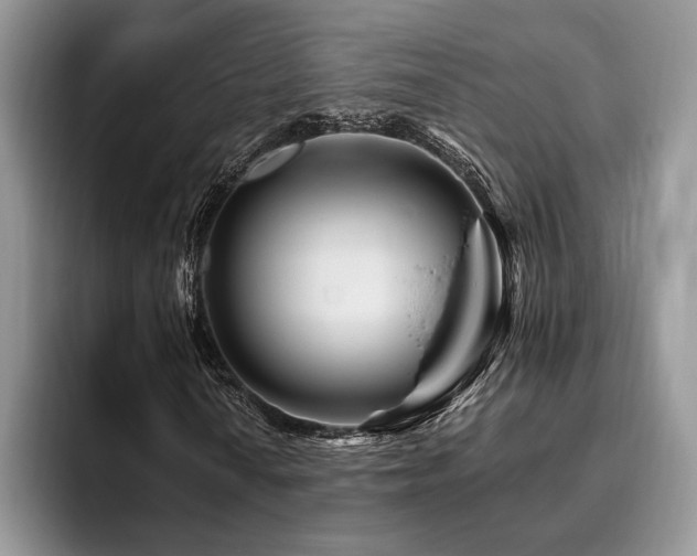 X0000096191010200801181316